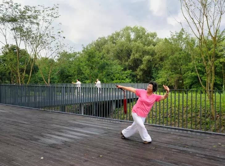 西溪湿地免费开放预约,西溪湿地免费区游览时间