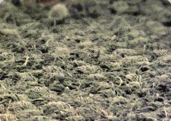 有妇科病的女生内裤该怎么选择,穿什么内裤才能避免妇科病