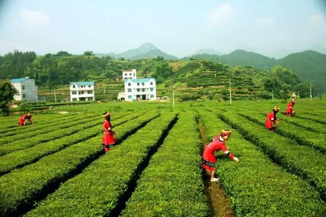 武汉附近值得去的古村落,武汉周边最美的古村