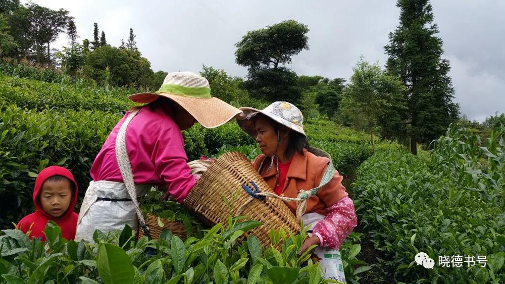 抗日战争胜利后的时代,抗战胜利前后的周佛海