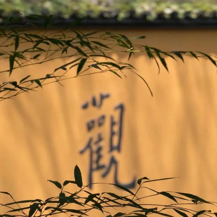 有人在背后说你坏话怎么用诗说,有人在背后说你坏话怎么处理最佳