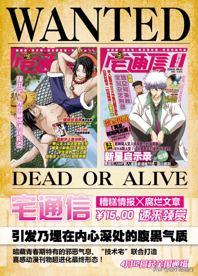 告别《电子游戏软件》老腊肉、变身动漫小萌新和00后一起竞争青云