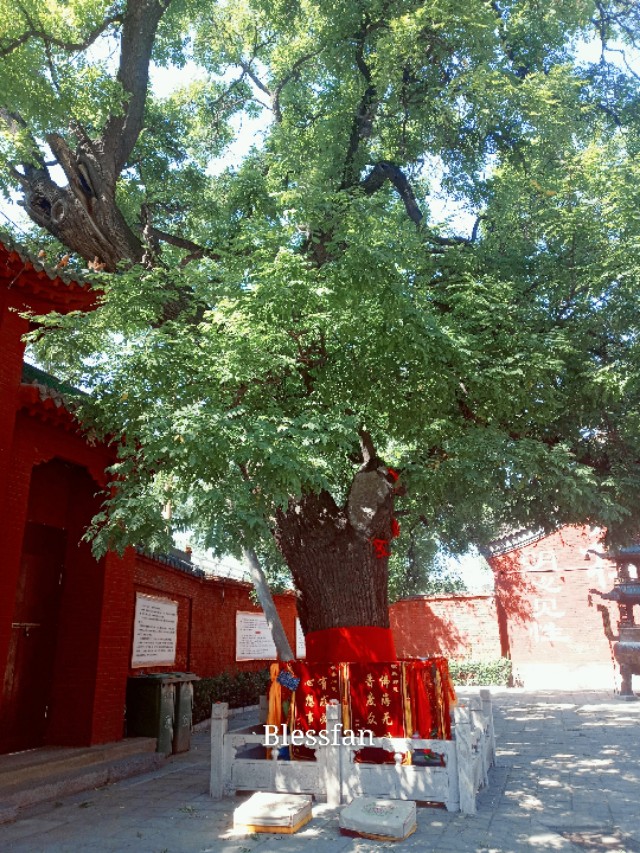 太原白云寺文殊菩萨,太原白云寺文殊传灯法会