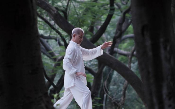 荷叶茶降血脂的方法,荷叶降压降脂吗