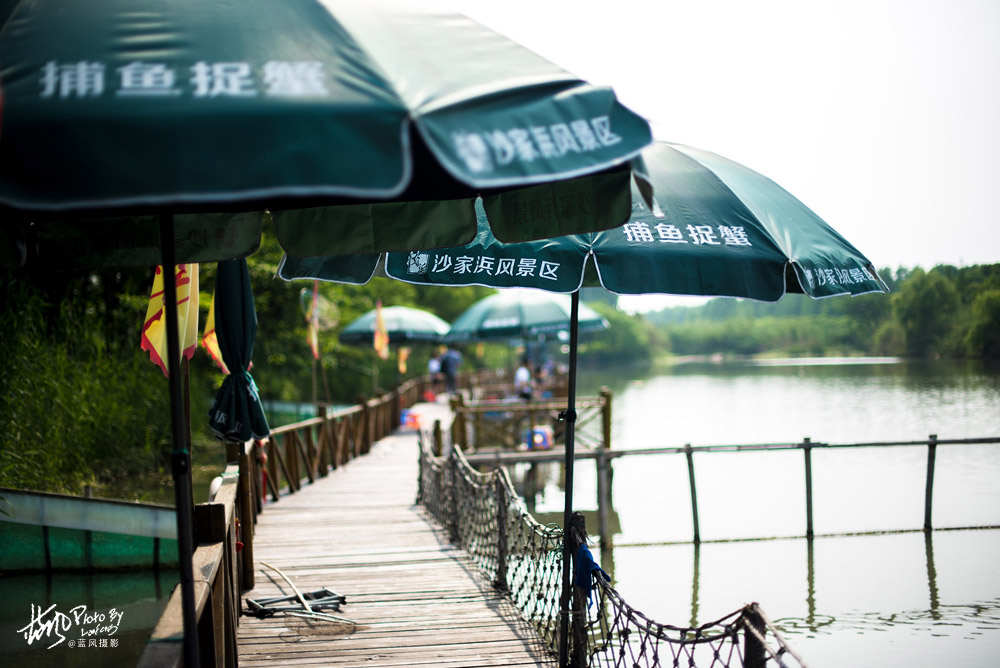不进沙家浜景区能看到芦苇荡,深度游玩沙家浜风景区