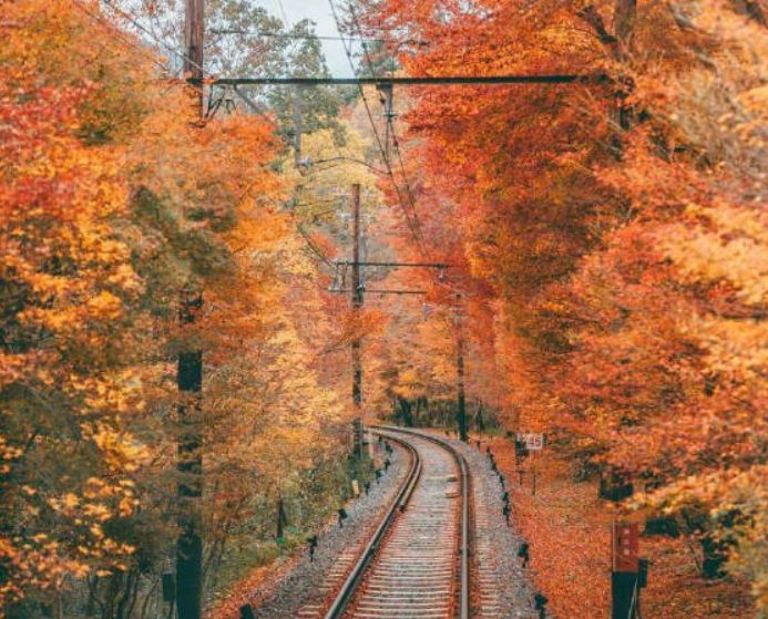 天冷了关心的话暖心短句,天冷了关心朋友的幽默好句子