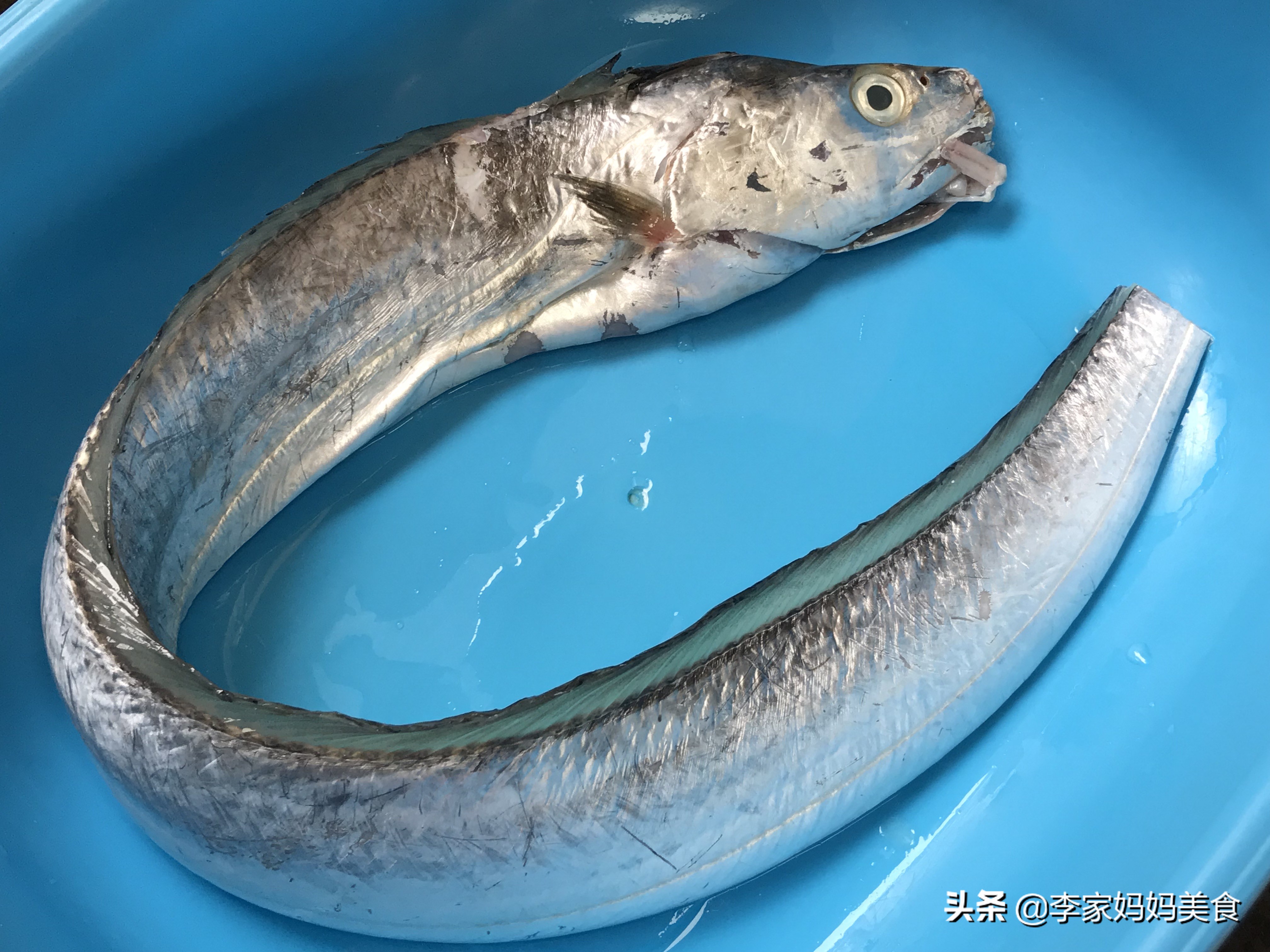 无论炖什么鱼一定要记住小常识,无论煮什么鱼都要记住