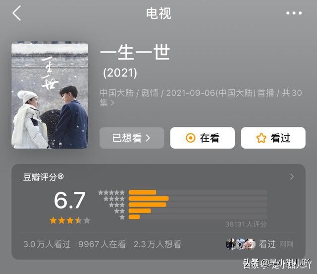 一生一世的评价,一生一世电视剧的深度解析