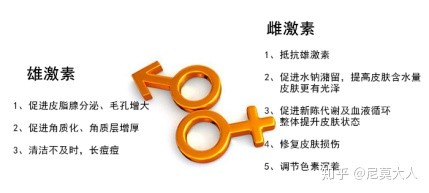 长姨妈痘怎么办,长了姨妈痘大概什么时候来姨妈