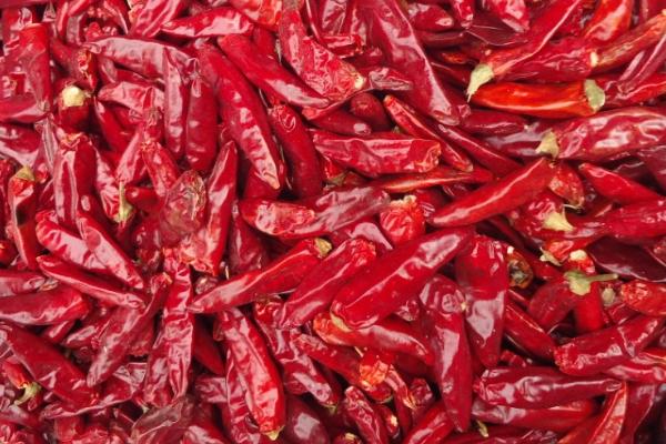 各种干辣椒品种哪种香,各种干辣椒品种和特点