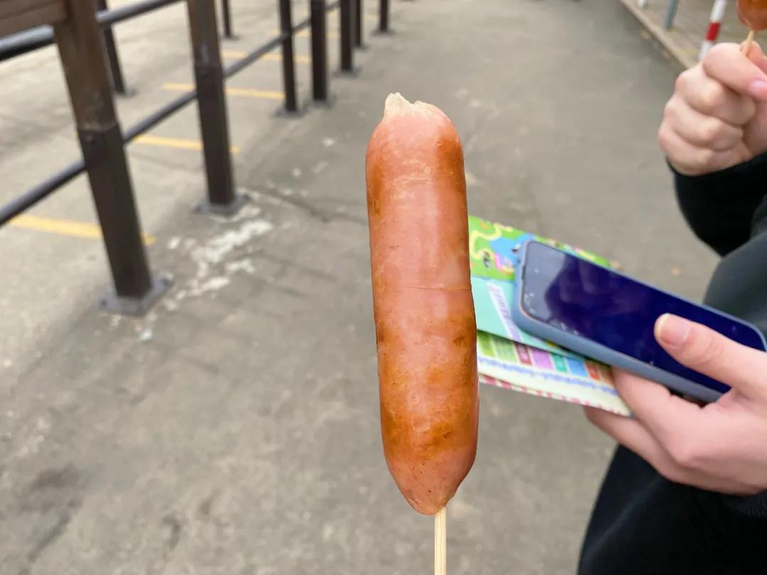 上海野生动物园旅游攻略路线推荐,上海野生动物园旅游攻略50字