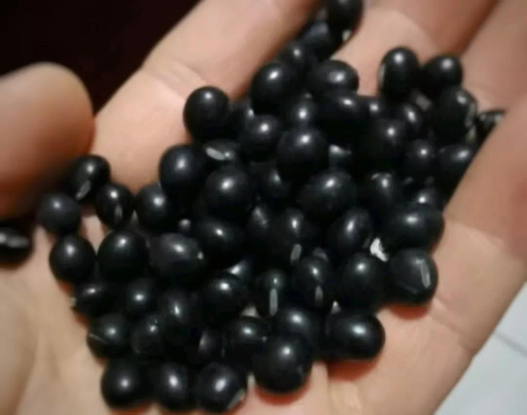 吃黑米黑豆黑芝麻可以变黑发吗,吃黑豆黑米黑芝麻白发可以转黑吗