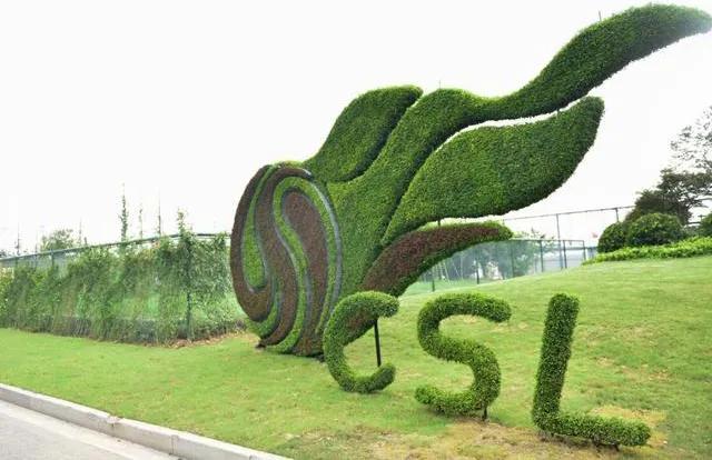 北大学者批国足贡献为负，黄健翔转易中天文：教育不比足球有希望