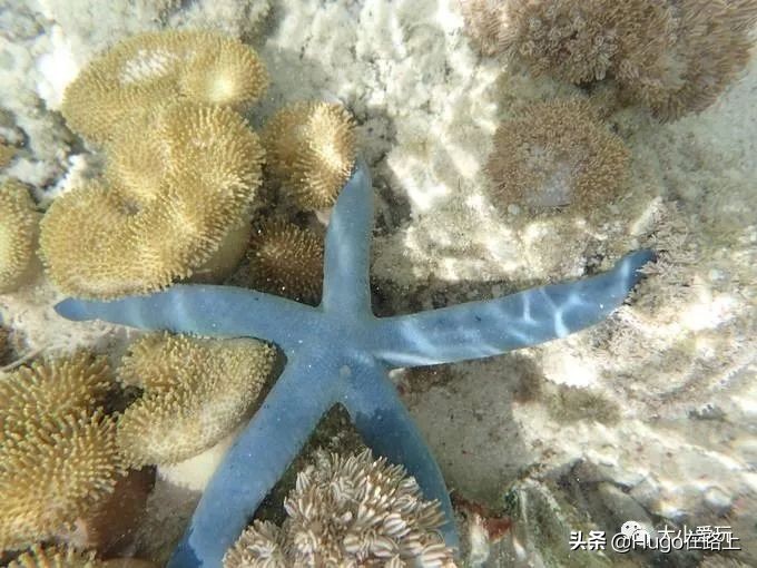 亲子海岛旅行攻略,7月最适合亲子游的海岛