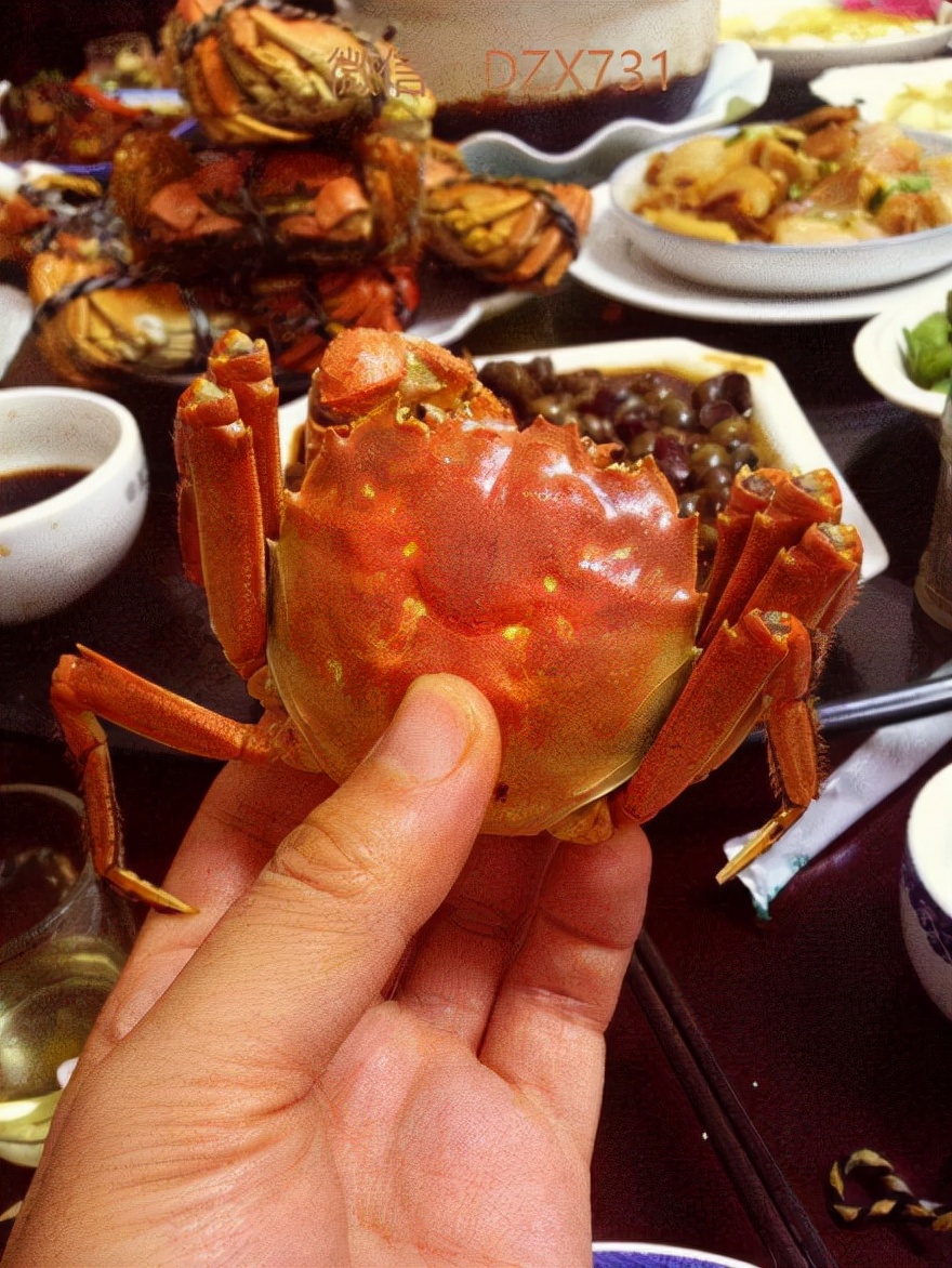 固城湖大闸蟹直播第一名,固城湖大闸蟹十只装多少钱