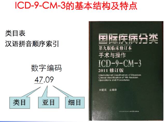 icd编码规则详解,一文读懂intp
