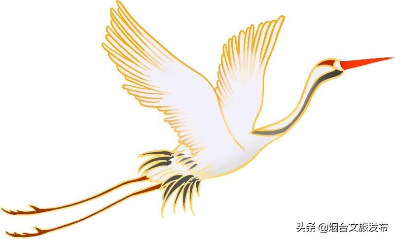 烟台蓬莱阁旅游宣传片,镜头下的烟台蓬莱阁