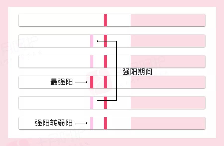 想成功受孕这4个关键点不能忽视,快速受孕
