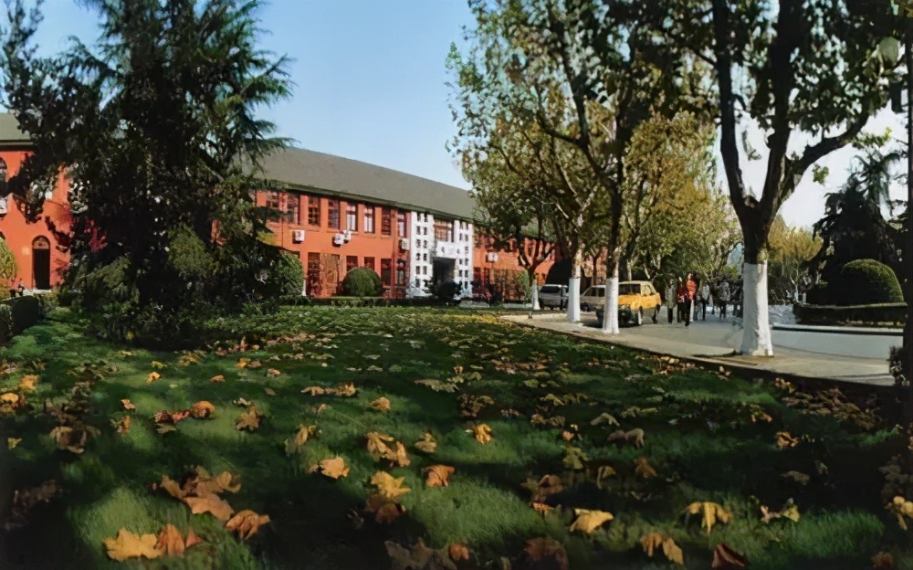 「一家谈」金苹果