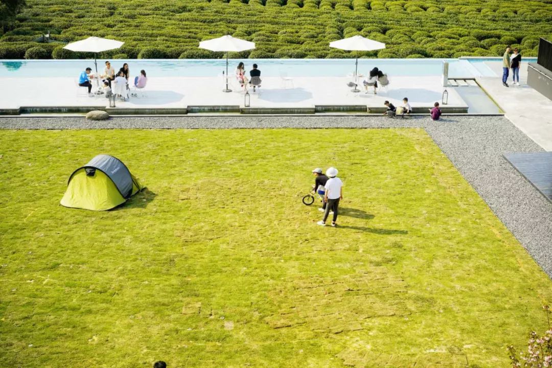 杭州原研斋茶园民宿,杭州茶园民宿推荐