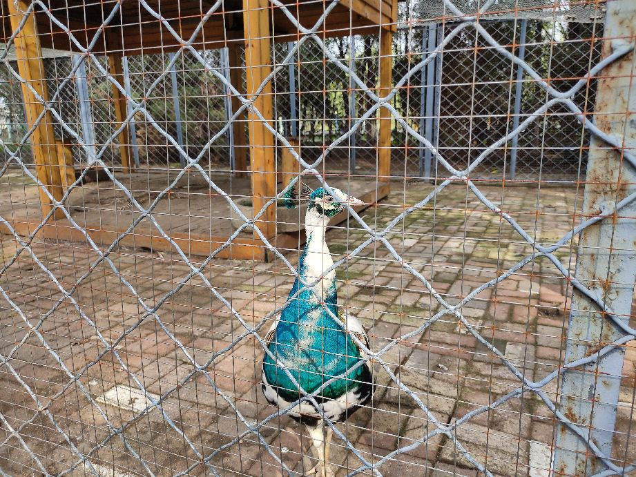 沈阳优待证免费的景点,沈阳70岁以上免费景点