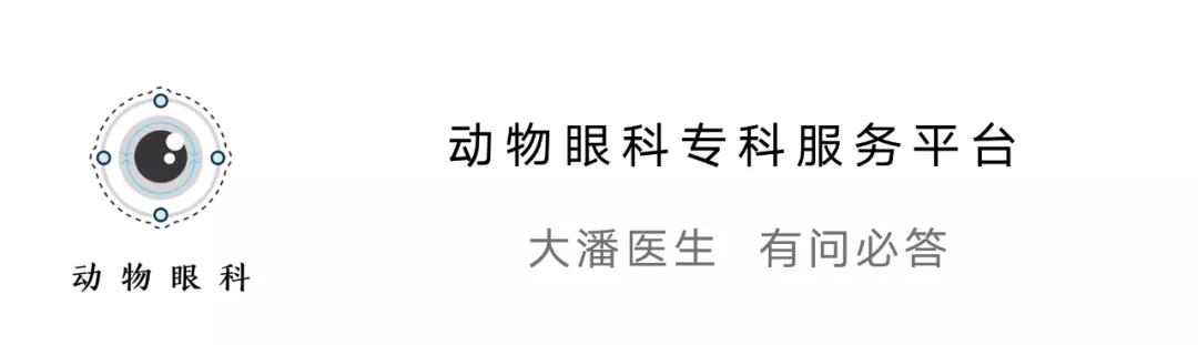 狗狗内分泌紊乱脱毛怎么治疗,狗狗皮肤一块块脱毛怎么治疗