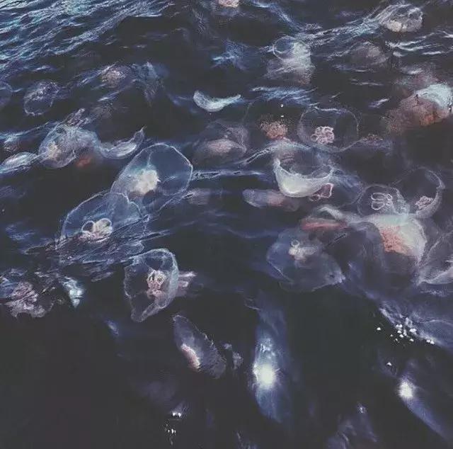 30而立人生访谈,30岁如何面对而立之年