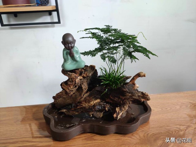 菖蒲竹子石头组合盆景,文竹菖蒲假山盆景图片大全