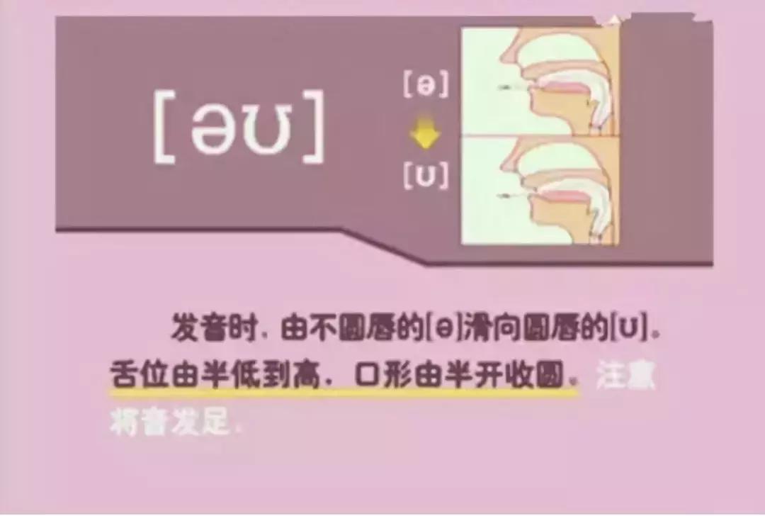 音标发音48个正确发音口型,小学英语音标发音48个口型