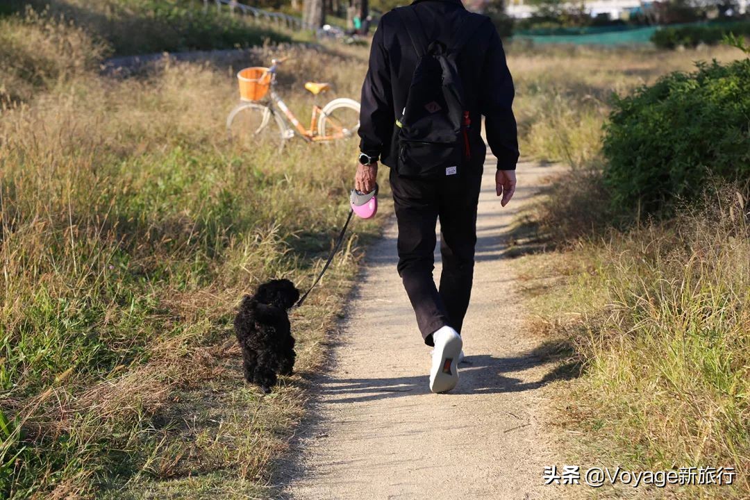 如果一生只能去一次北海道,如果一生只能去一次甘南
