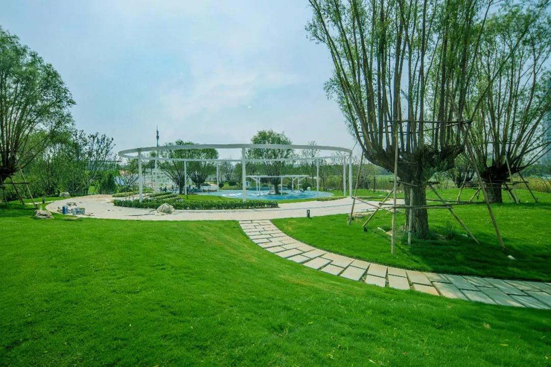 新区新建公园规划,主城区公园