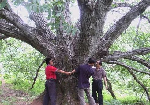 京西古村落真实感受,京西有哪些古村落景区