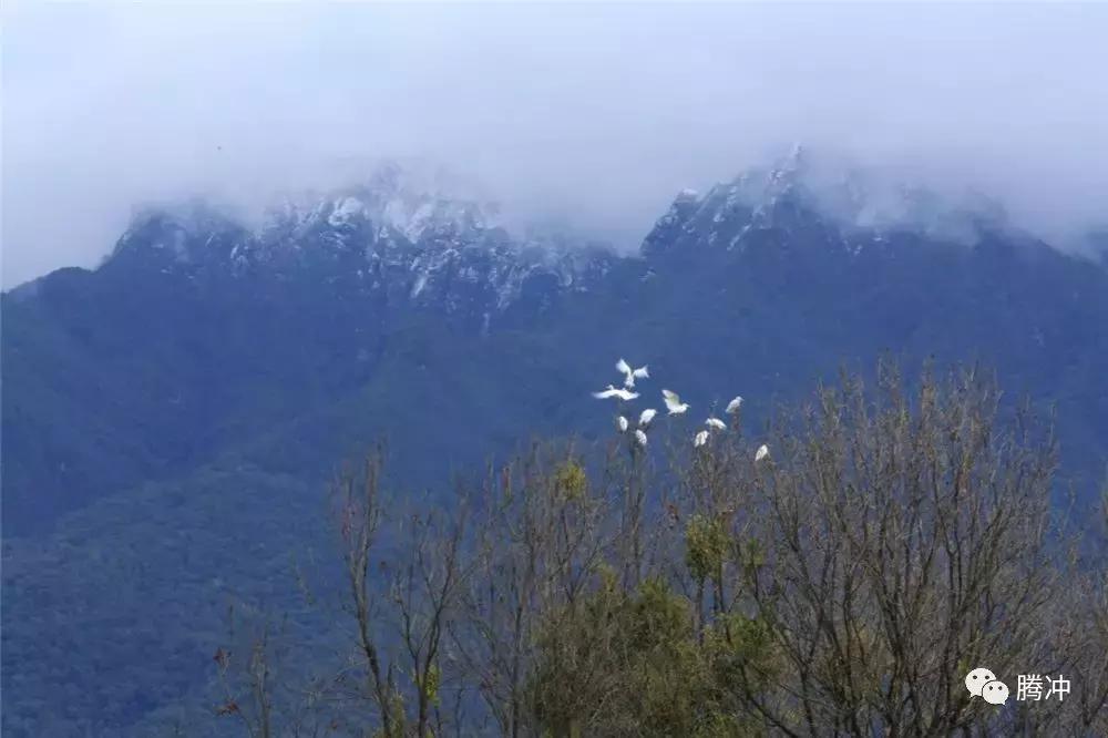 云南腾冲景区图片,云南腾冲山清水秀好风光