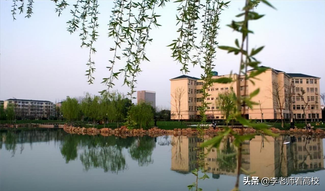 成都大学合肥大学,合肥大学对比成都大学