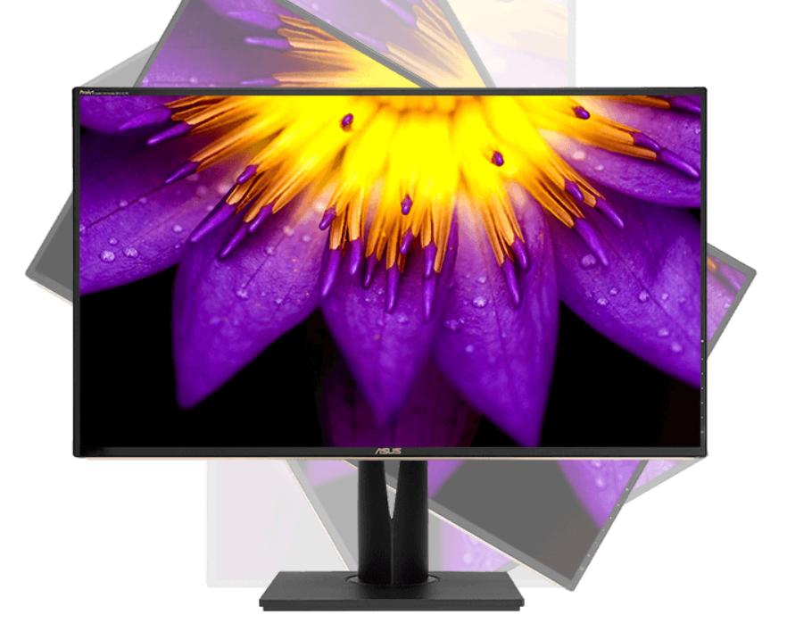 旗舰实力服务创作专家,华硕打造PA329C修图神器