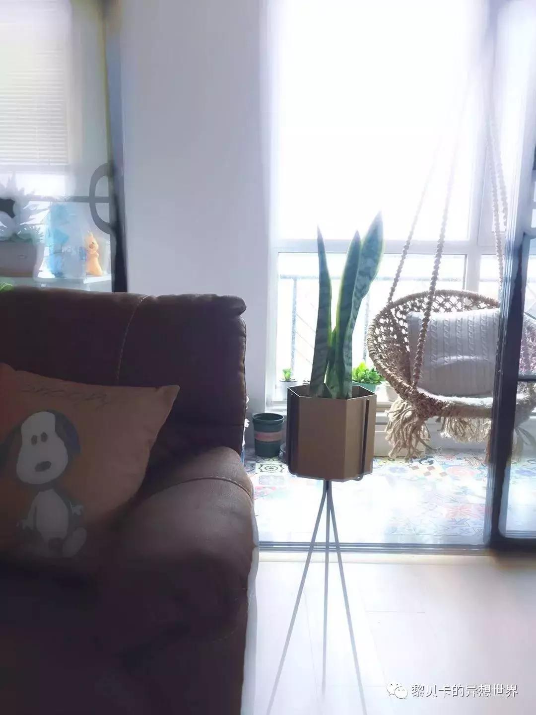 去年双十一她们买了这些，用了一年都不后悔！