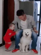 狗吃醋起来比男朋友还难哄,狗子这才是哄女朋友的正确方式