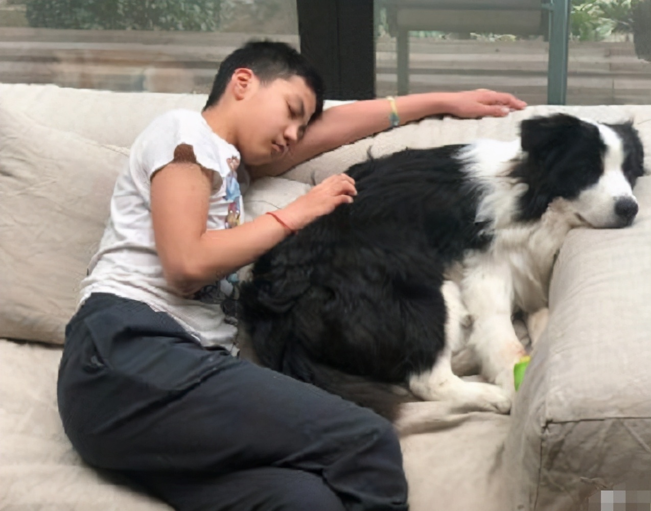 胡军为儿子庆生康康暖男初长成,胡军儿子康康多高