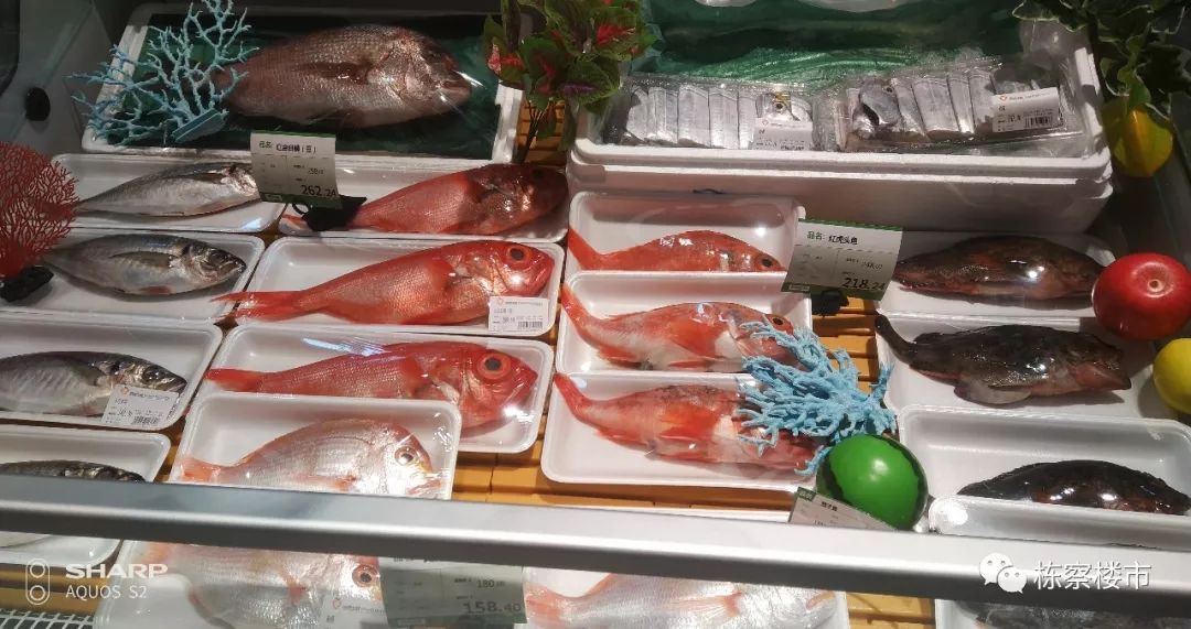 2023沈阳新开商场,沈阳金廊购物中心