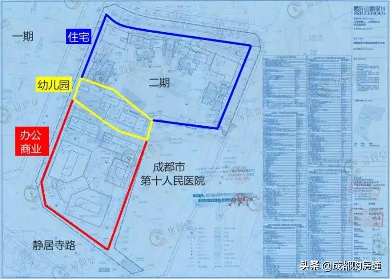 种了20年的铁树终于开花了,养了几十年的铁树终于开花了