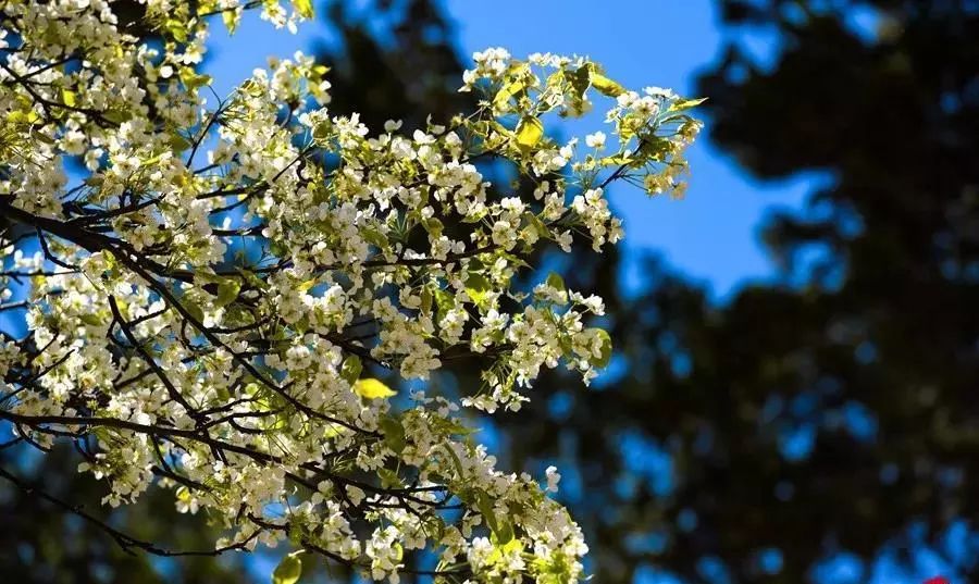 原来“女儿国”是真实存在的，就藏在川西！