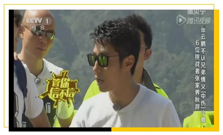 村花撒贝宁：我，43岁，*戏调**马云，芳心纵火犯