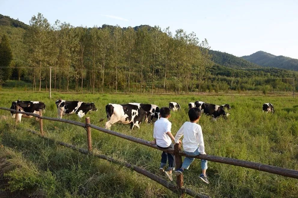 有机农业未来发展思路,有机农业的发展目标和成效