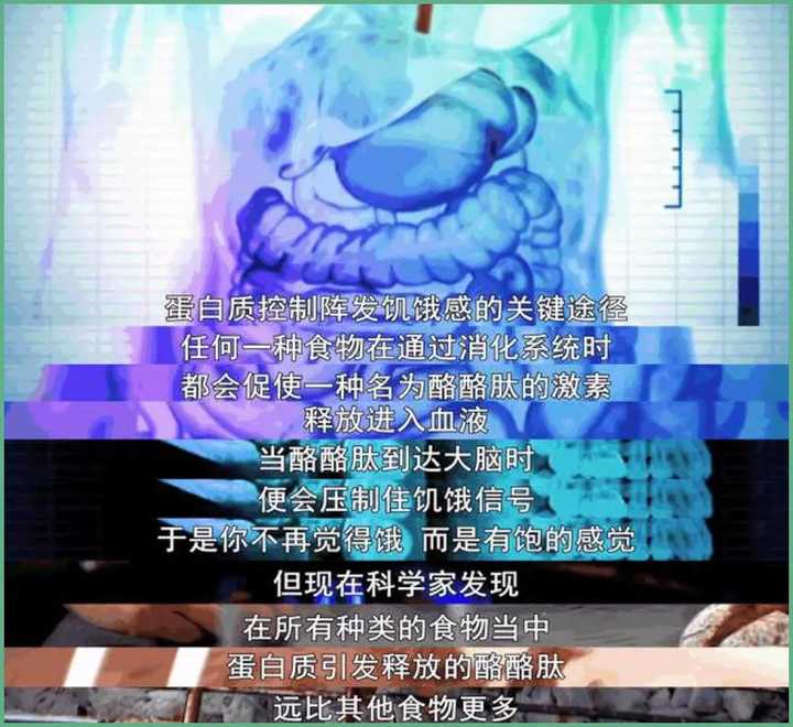 减肥最快的方法5天瘦十斤的视频,减肥最快的方法5天瘦十斤减肥操