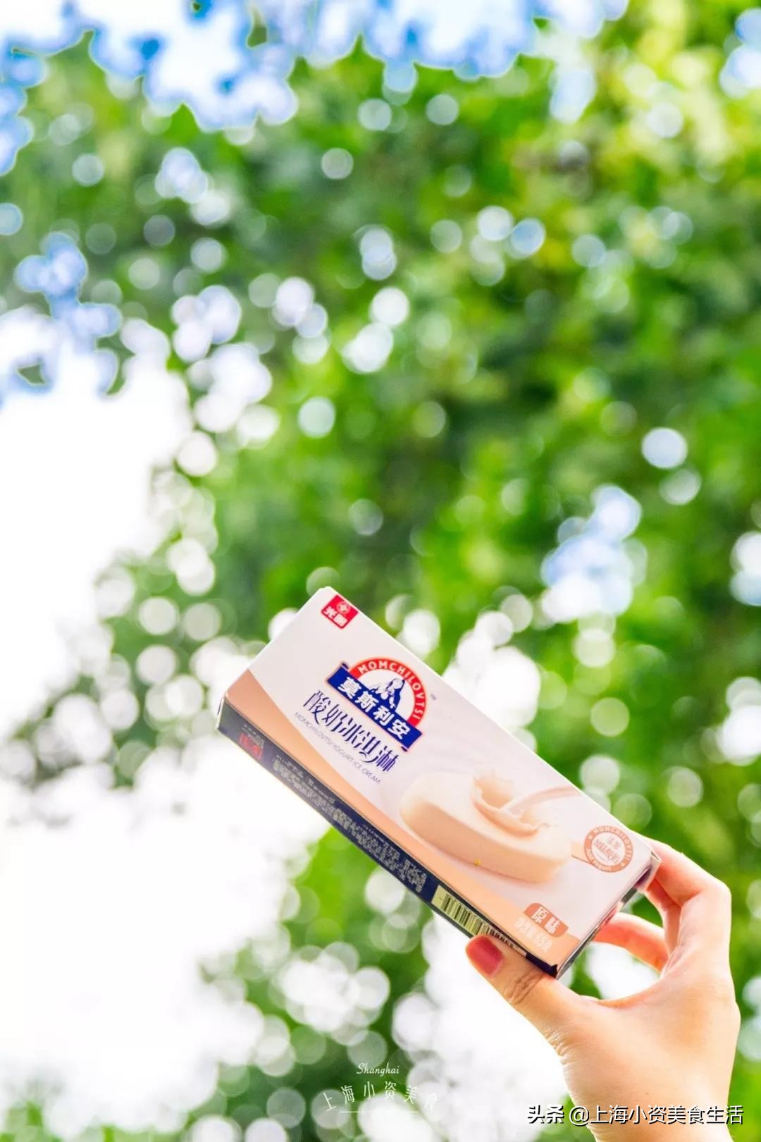 国内崛起的雪糕,中国风网红雪糕