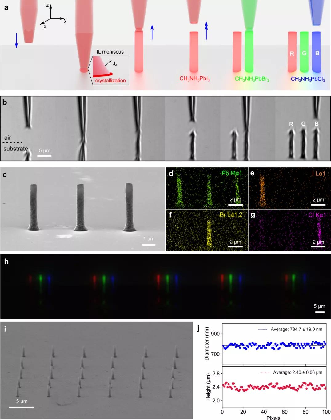 香港大学钙钛矿,香港大学磁共振成像