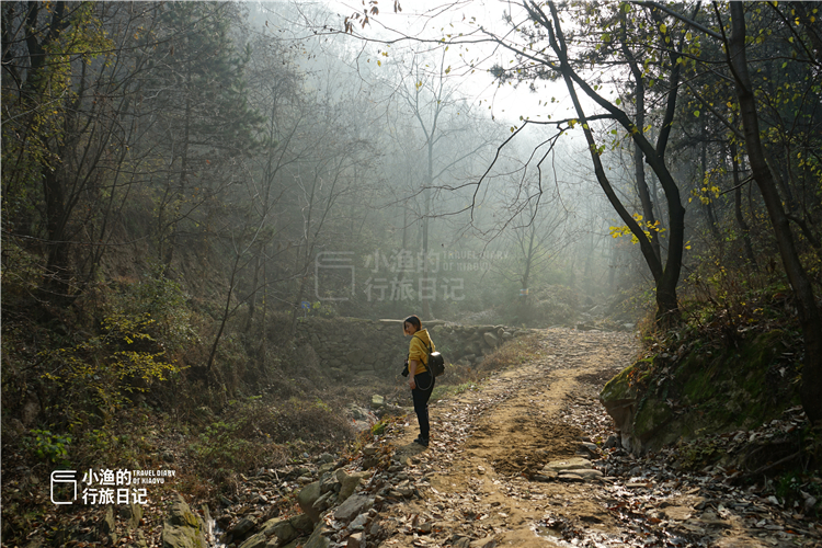 华山不要钱的免费线路,华山不花钱的上山路线