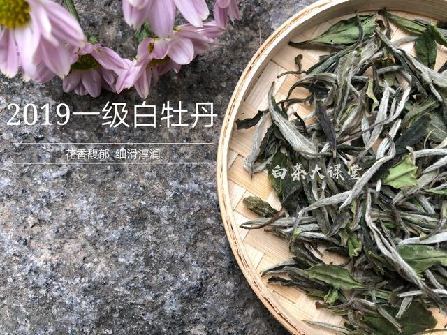 为白茶中的茶梗平反，虽然不好看，对滋味却大有贡献