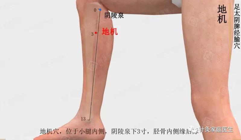 女性手脚冰凉特效穴,女性手脚冰凉怎么调理按摩穴位