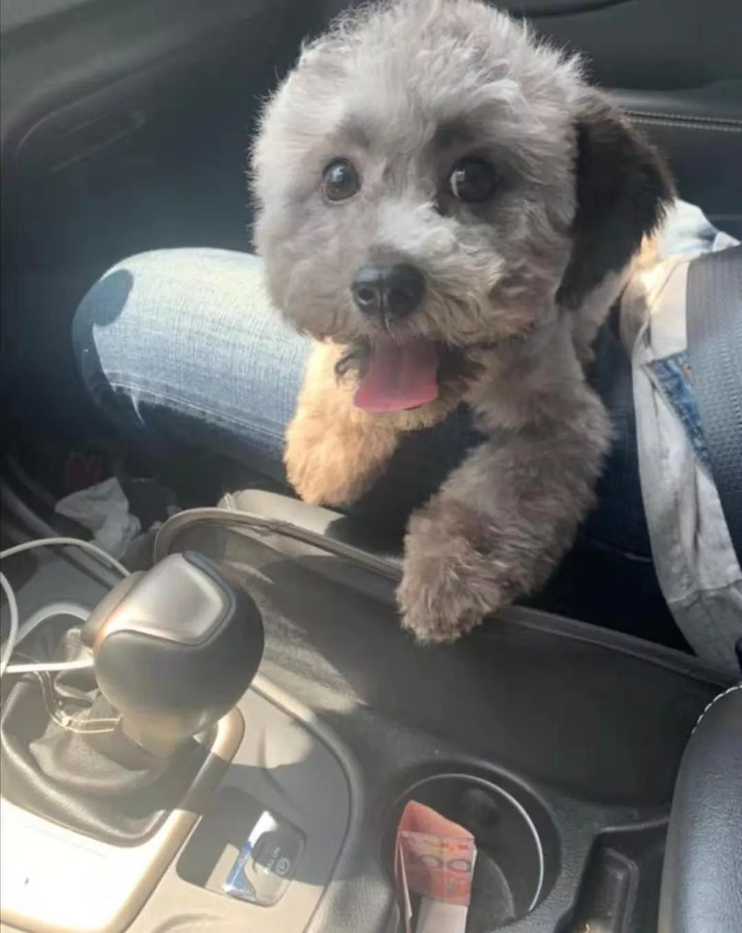 从0到团钩达人，我到底付出了多少努力